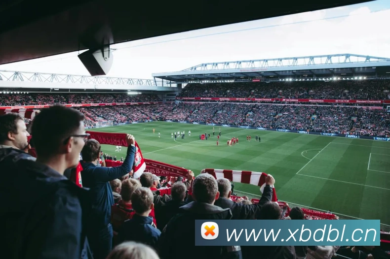 App Interface Preview